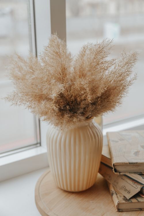 Free Decorative dried pampas grass placed in vase near heap of shabby books on wooden stand near window in light room Stock Photo