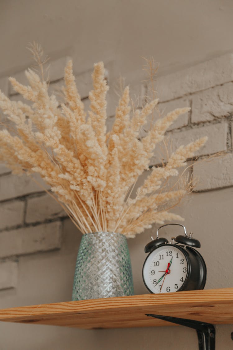 Pampas Grass Near Alarm Clock