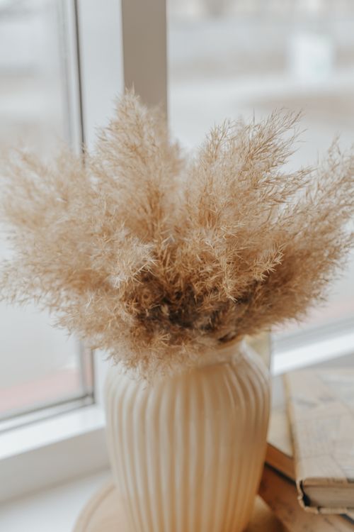 Free Decorative dried plants placed in ceramic vase on windowsill with shabby books near window in light room on blurred background Stock Photo