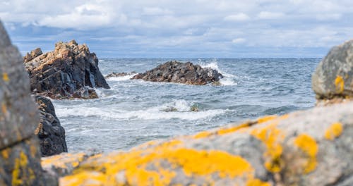 Безкоштовне стокове фото на тему «Балтійське море, вода, камені» стокове фото
