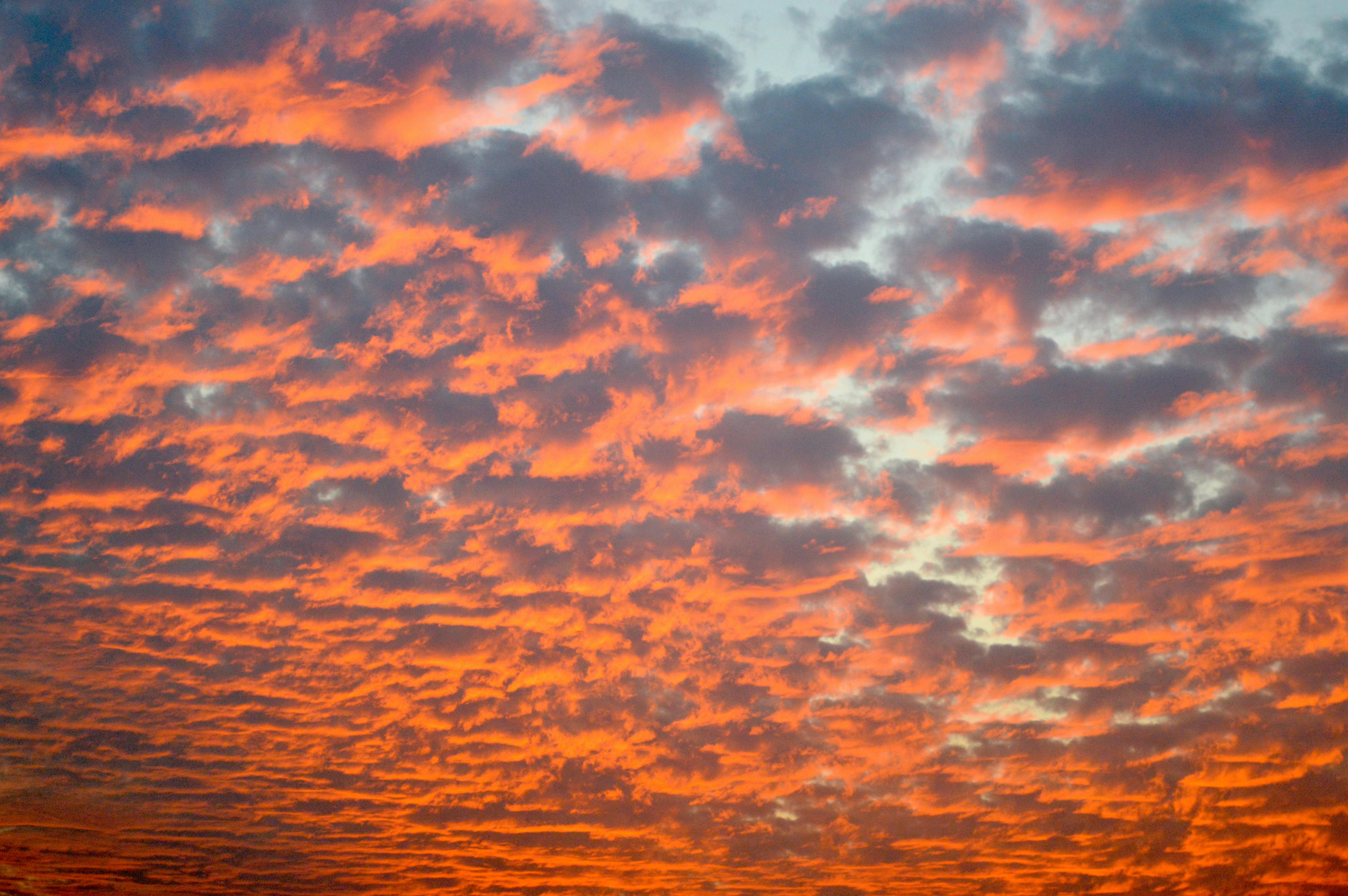 Free stock photo of clouds, orange sky