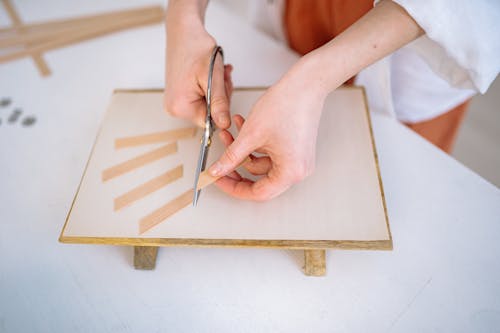 A Person Holding a Scissor