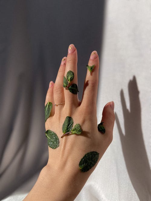 Crop woman with green leaves on hand
