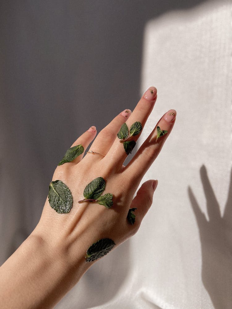 Crop Woman With Leaves On Hand In Light Room