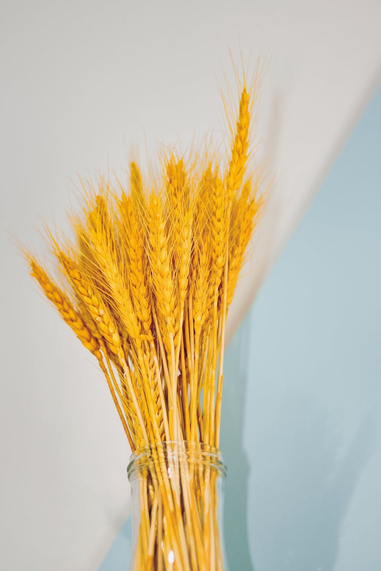 Yellow Dried Flowers In Clear Glass Vase