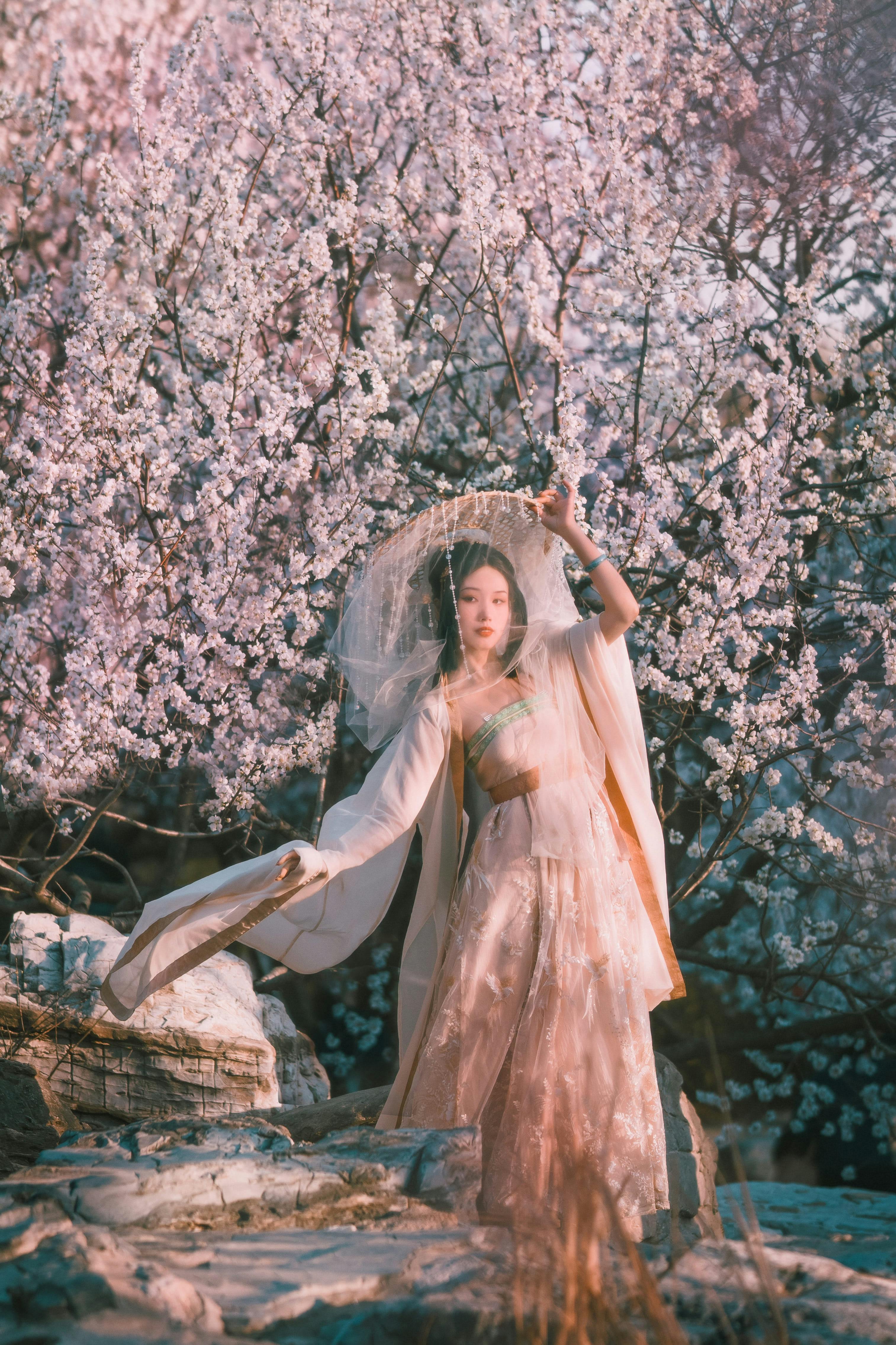 a woman wearing hanfu gown standing near cherry blossom tree