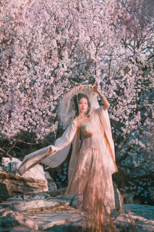 Free A Woman Wearing Hanfu Gown Standing Near Cherry Blossom Tree Stock Photo