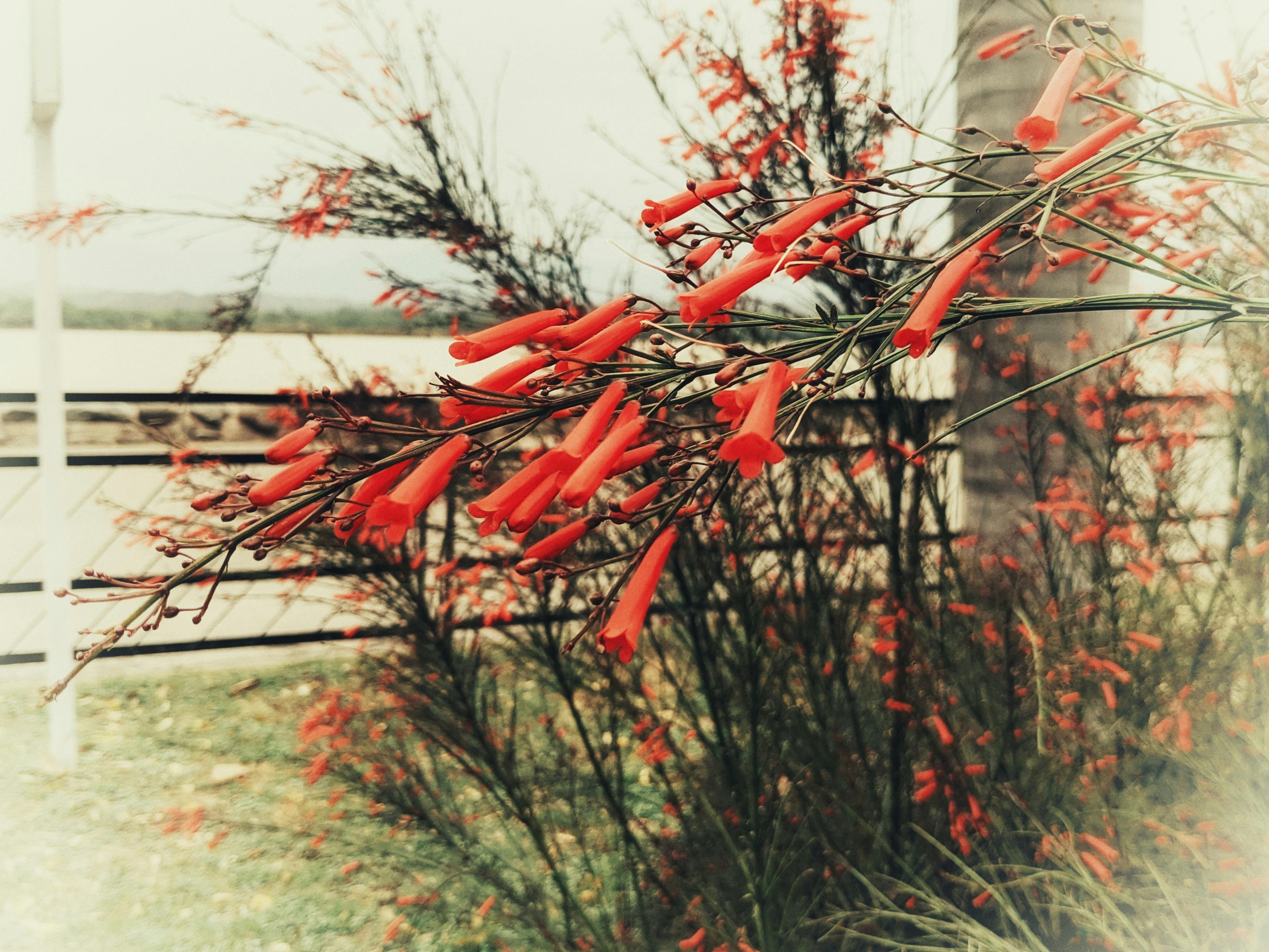 Several glowing fantasy swords sticking out of a rock in a dark, mystical forest.