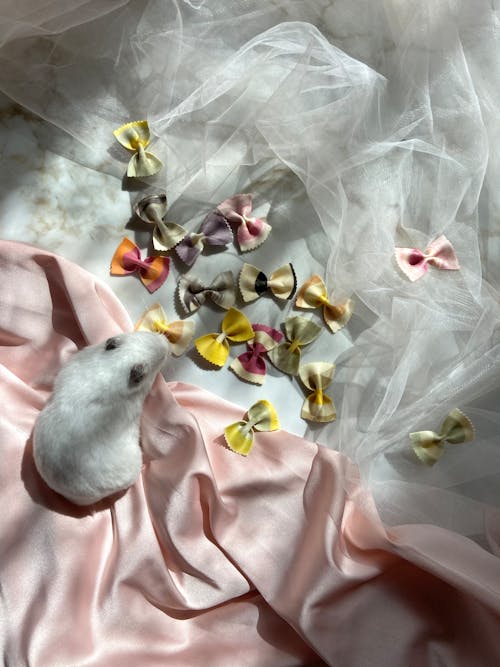 Top view of small white fluffy bunny sitting on pink fabric near light textile in room with decorated bows at home