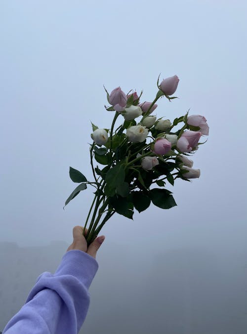 Unrecognizable female with bouquet of fresh bright roses in hand standing in gloomy rural terrain covered with fog in countryside