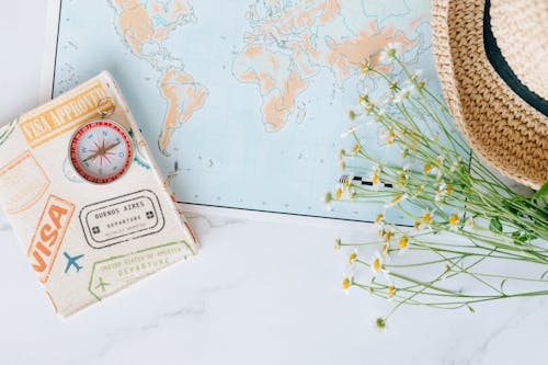 Kostnadsfri bild av chamomiles, Karta, kompass