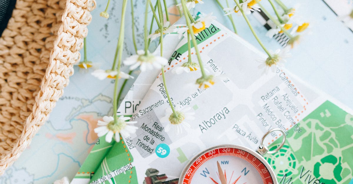 Overhead Shot of a Compass Near Flowers · Free Stock Photo