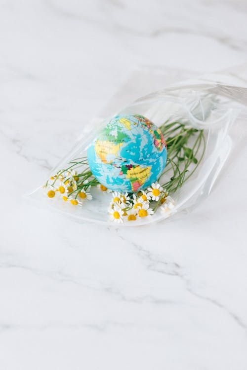 Chamomile Flowers and a Globe