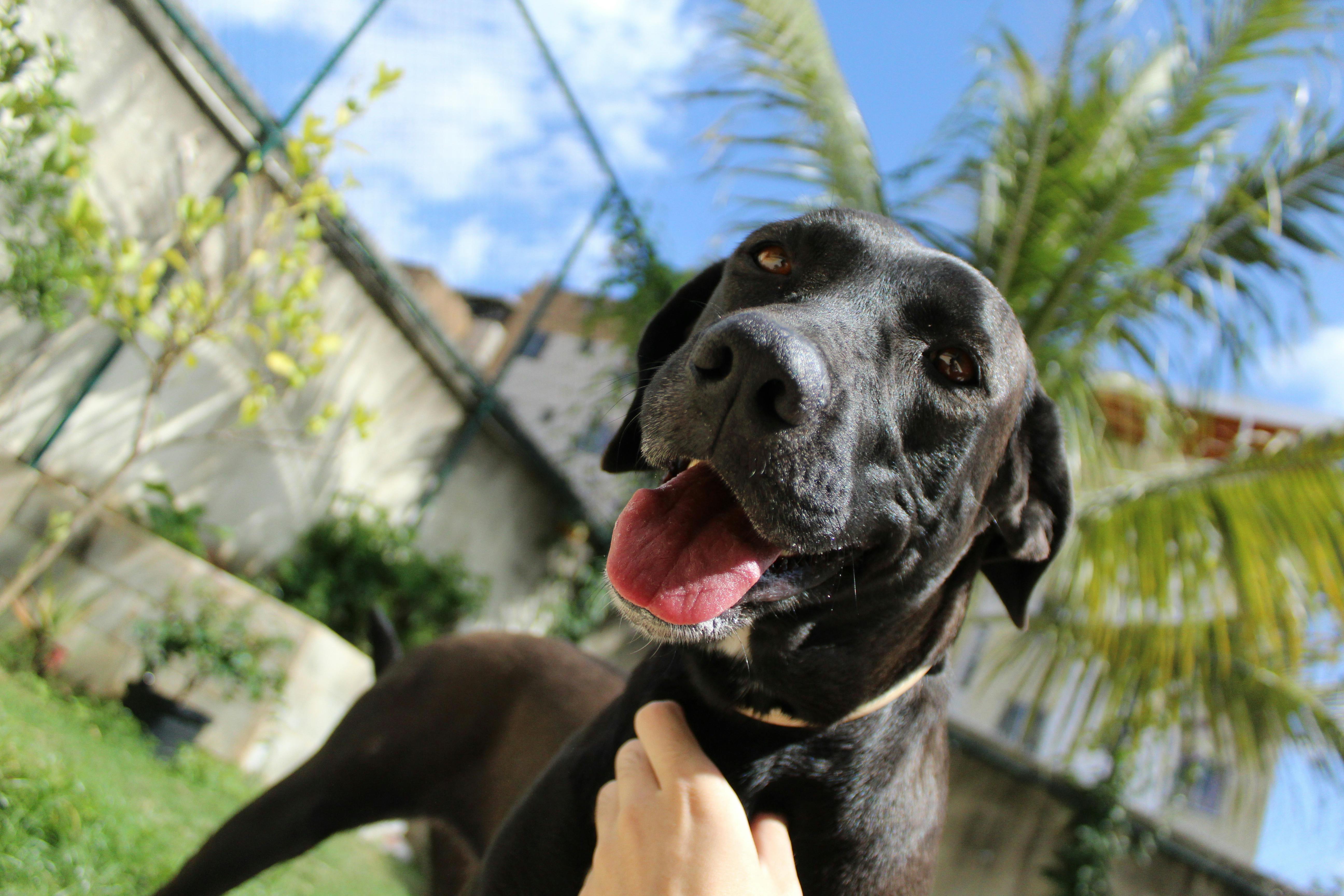A person holding a PlayStation controller, with a spooky, dark game visible on the screen behind them.