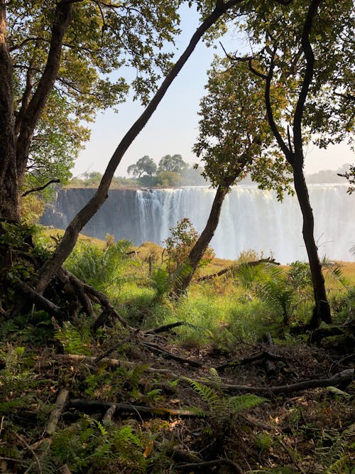 Gratis lagerfoto af smukt landskab, vandfald