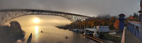 Free stock photo of bridge, fog, mist