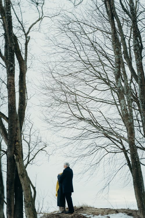A Man Standing Near the Bare Tree