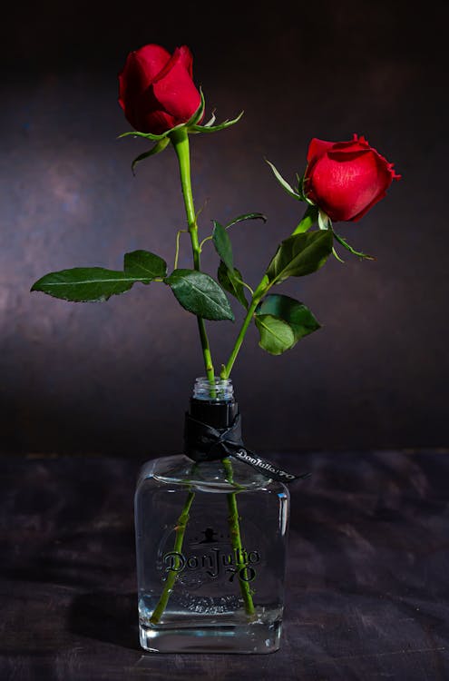 คลังภาพถ่ายฟรี ของ ความรัก, ดอกสีชมพู, วันวาเลนไทน์