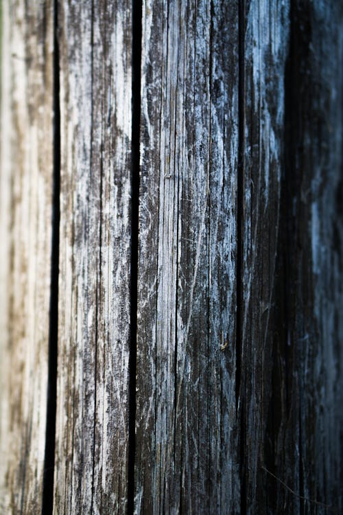 Close-Up Photograph of a Wooden Surface