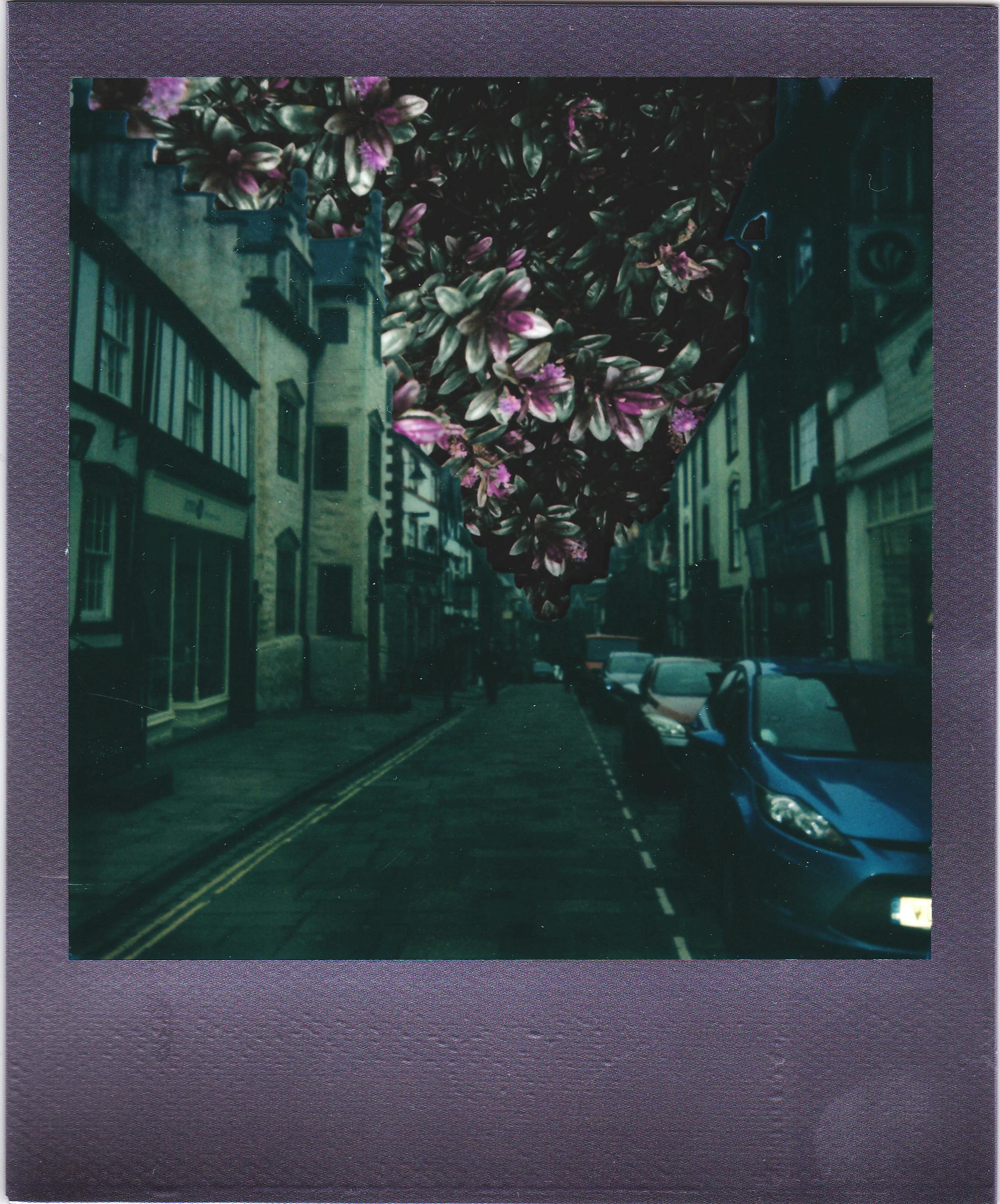 A surreal fusion of colorful flowers and a vintage street captured in Polaroid style.