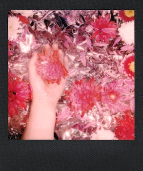 A hand holding a vibrant flower on metallic background in a Polaroid photo.