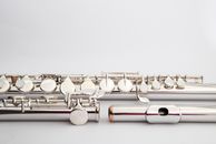 Close-Up Shot of Silver Flutes