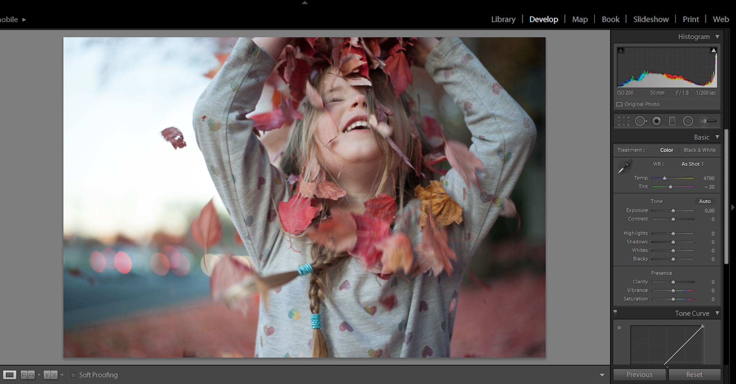 Color Incorrect Photos 5 Color Correction Mistakes To Avoid in Photo Editing