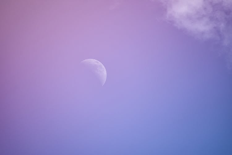 Half Moon In Purple Sky At Sunset