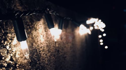 Free stock photo of xmas is coming Stock Photo