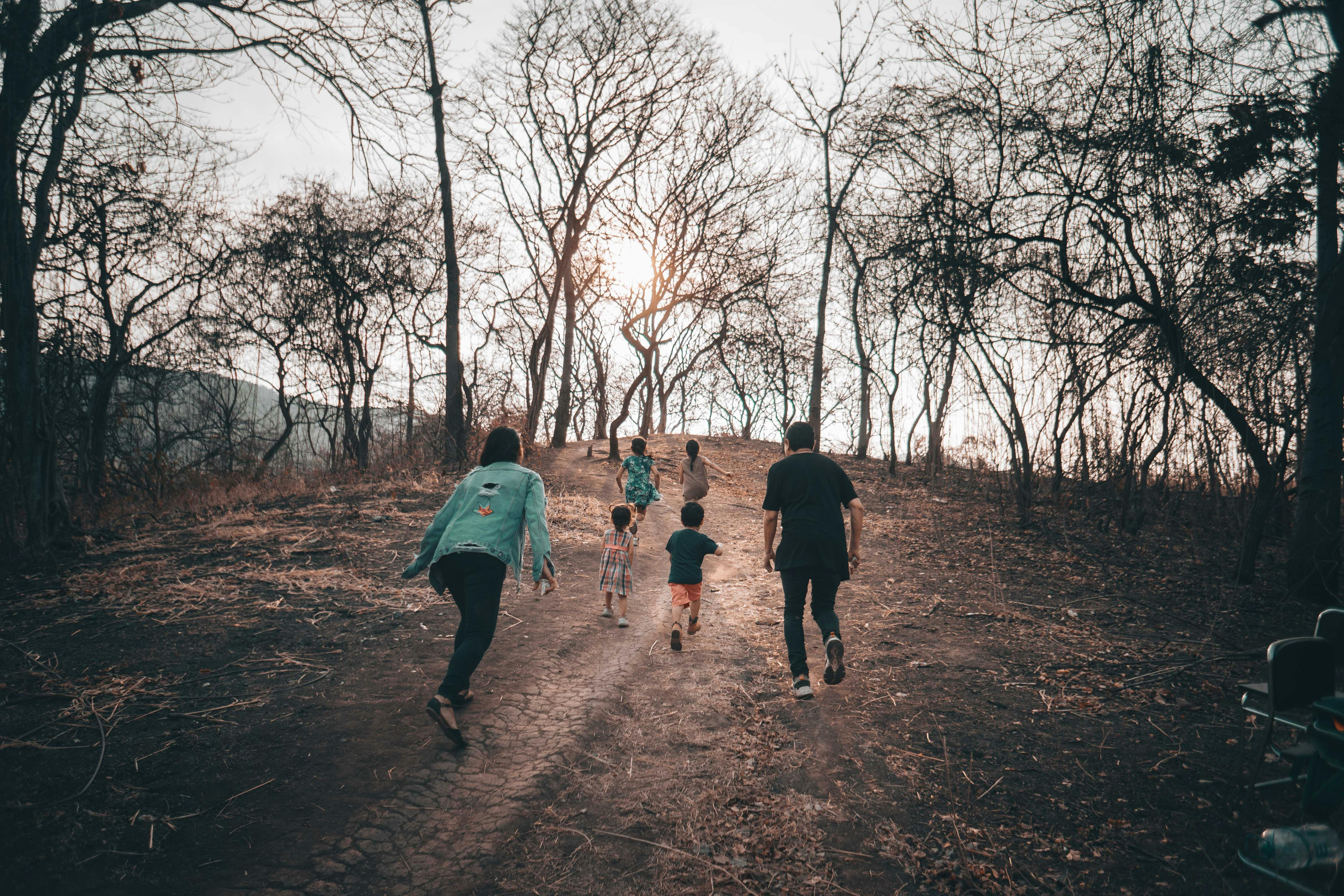 Plug pulled on family Traveller site plan — Photo by Orlando Allo on Pexels