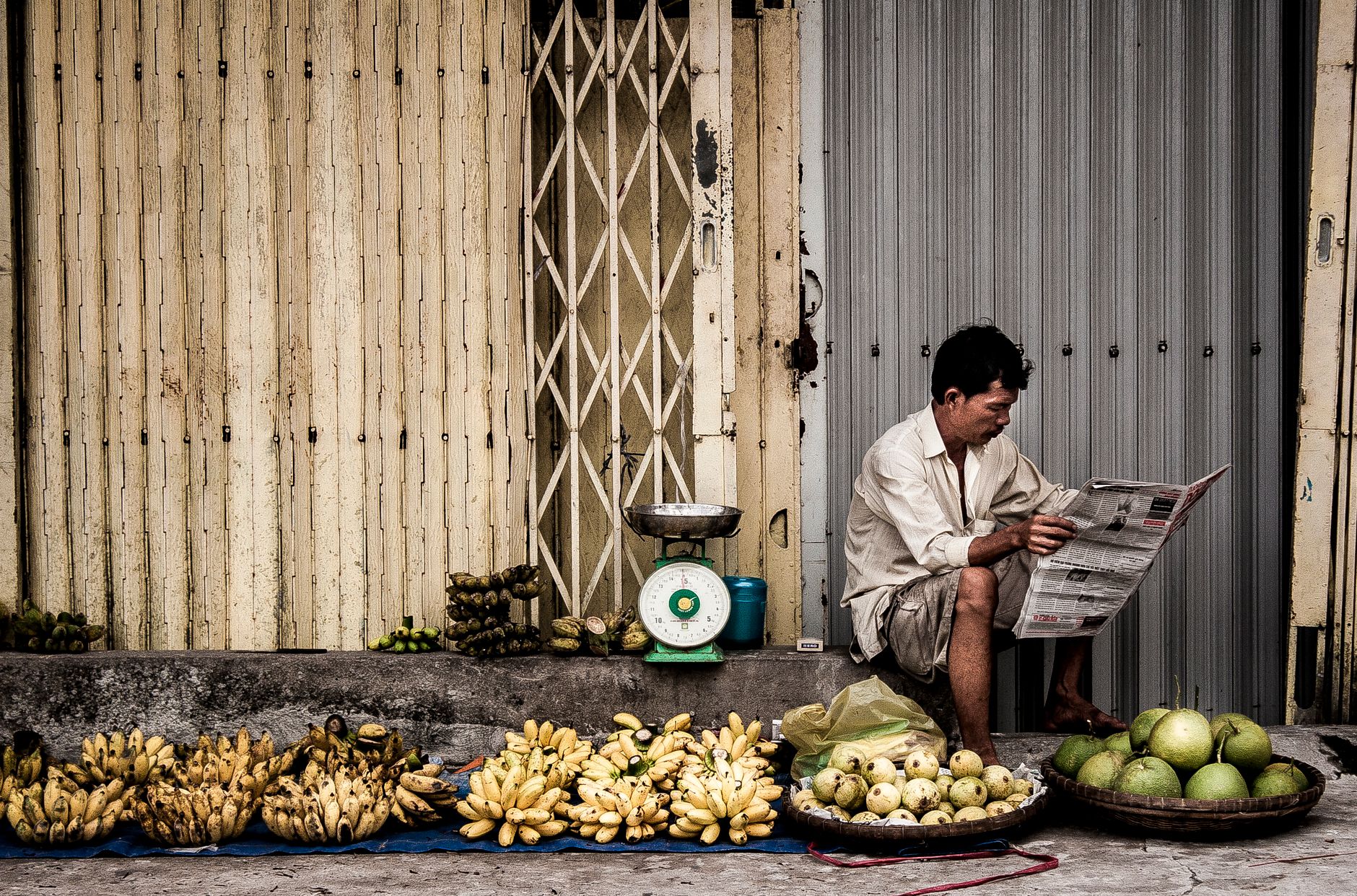 A Vietnamese gamecock trainer weighing a rooster, notebooks and veterinary supplies arranged on a shaded farm table