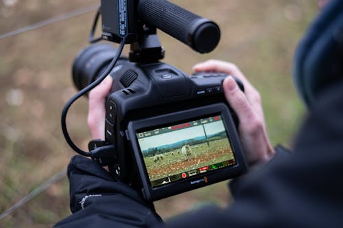 Hands Holding a Digital Camera