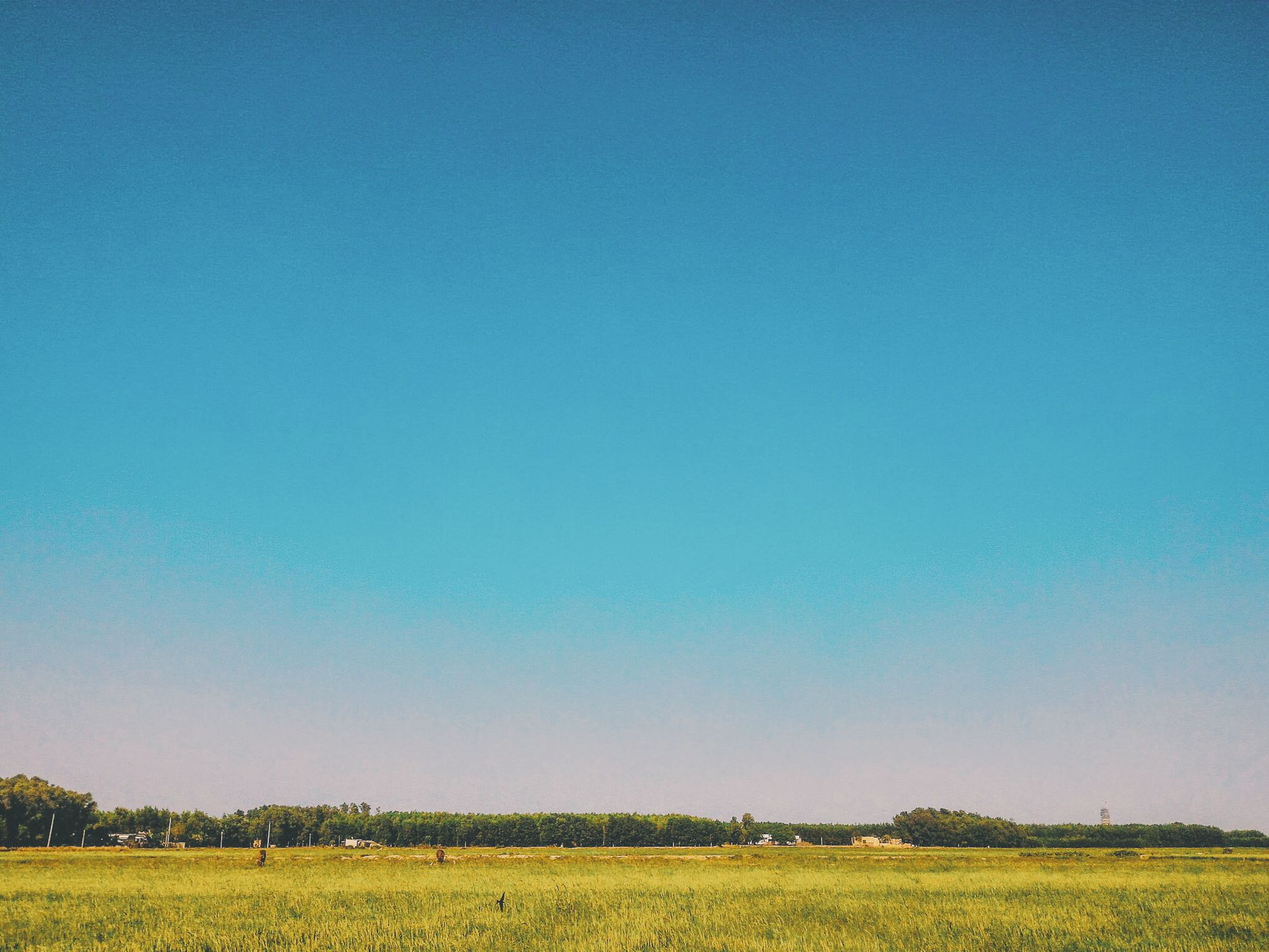 Open World or Linear — Which Nature Style Wins You Over?