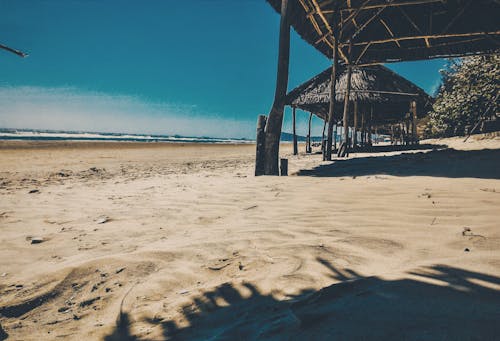 Brown Nipa Cottage Near Ocean at Daytime