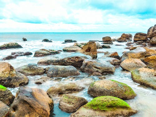 水域に囲まれた苔のある岩の風景写真