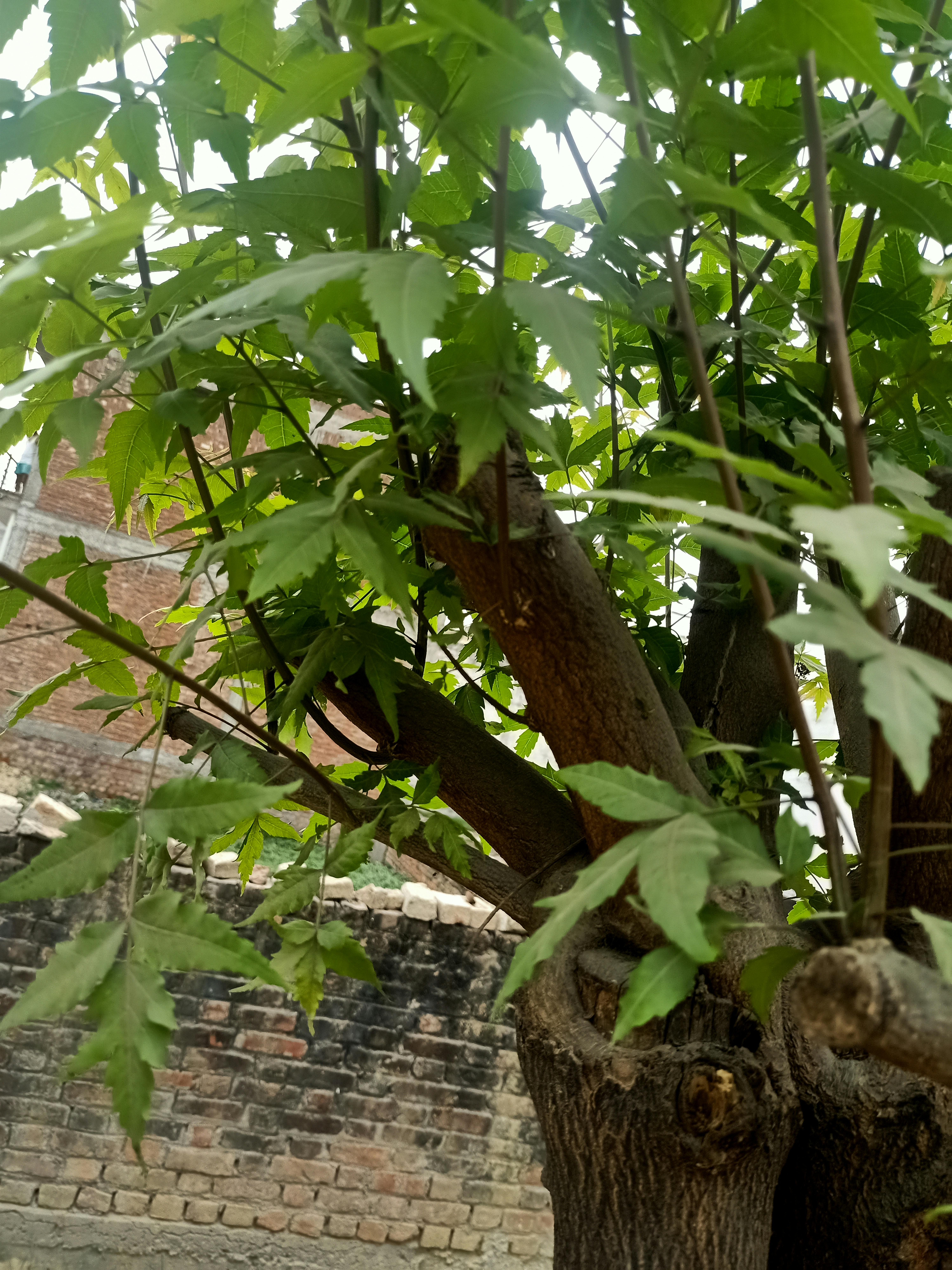 Nouvelle vague de phishing itsme en Belgique