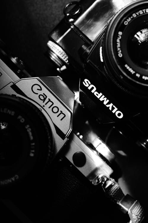 Безкоштовне стокове фото на тему «Canon, аналогова камера, відтінки сірого»
