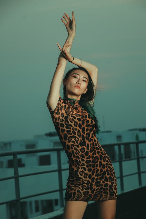 Woman in Black and Brown Leopard Print Dress Standing on the Rooftop