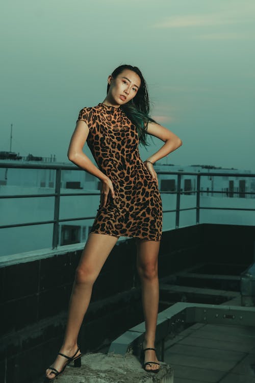 Free A Pretty Woman in Leopard Print Dress Posing while Looking at Camera Stock Photo