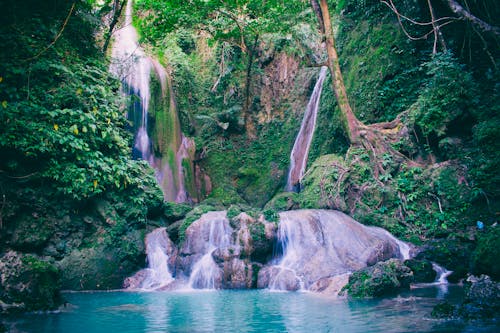 Фотография водопада с зелеными деревьями