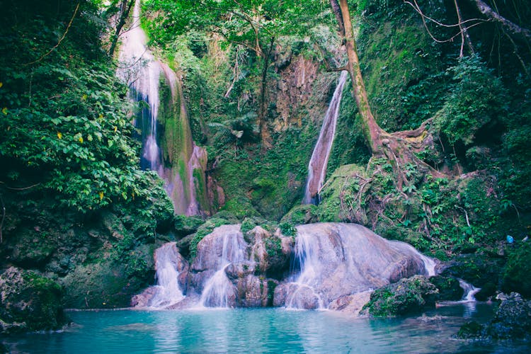 Water Falls In With Green Trees Photography