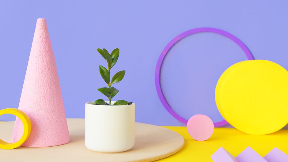 Vibrant minimalist composition featuring a small plant in a pot with geometric shapes.