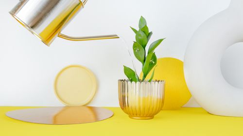 Free Stylish composition of a plant being watered in a golden pot with minimalist decor. Stock Photo