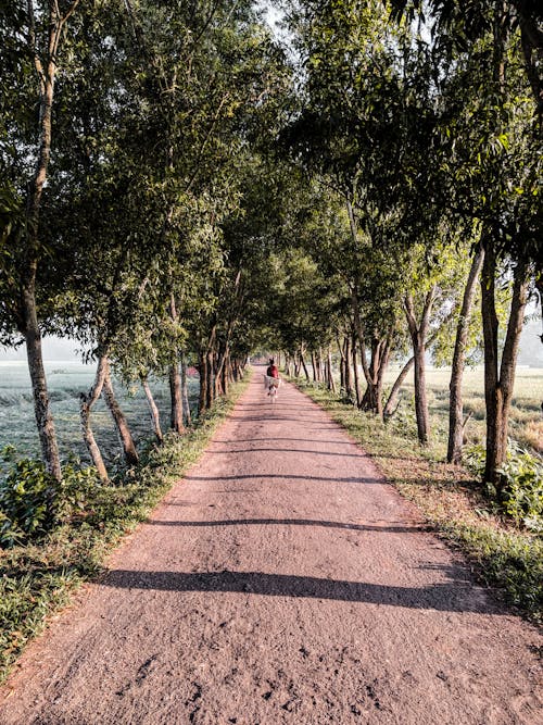 A Person Riding a Bicycle Between Trees