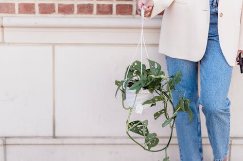 Anonymous crop woman in denim and jacket standing against building wall with hanging flower pot in hand