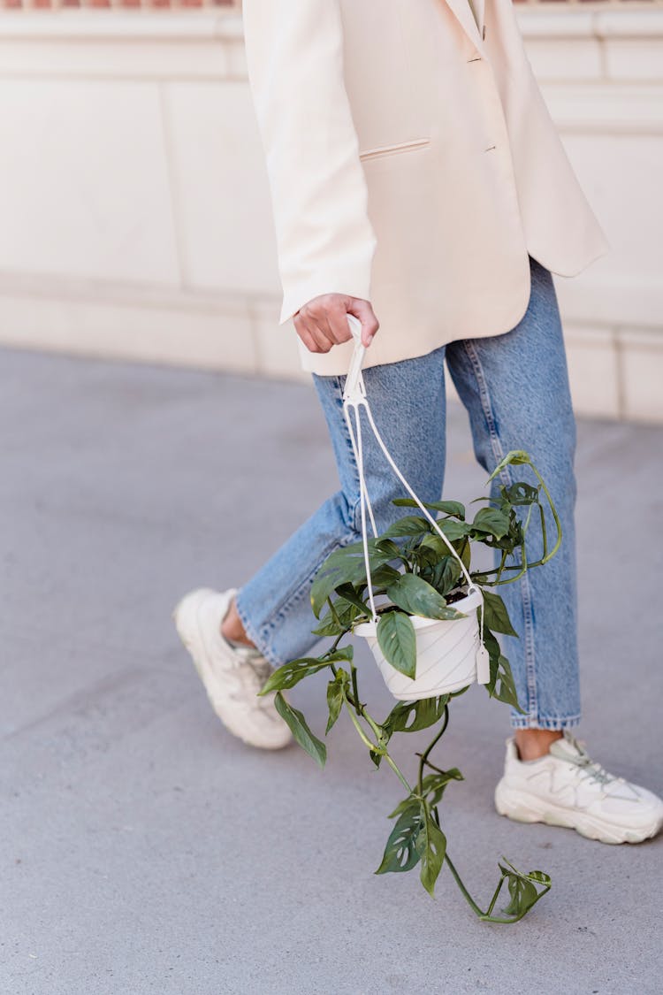 Unrecognizable Woman With Hanging Flowerpot