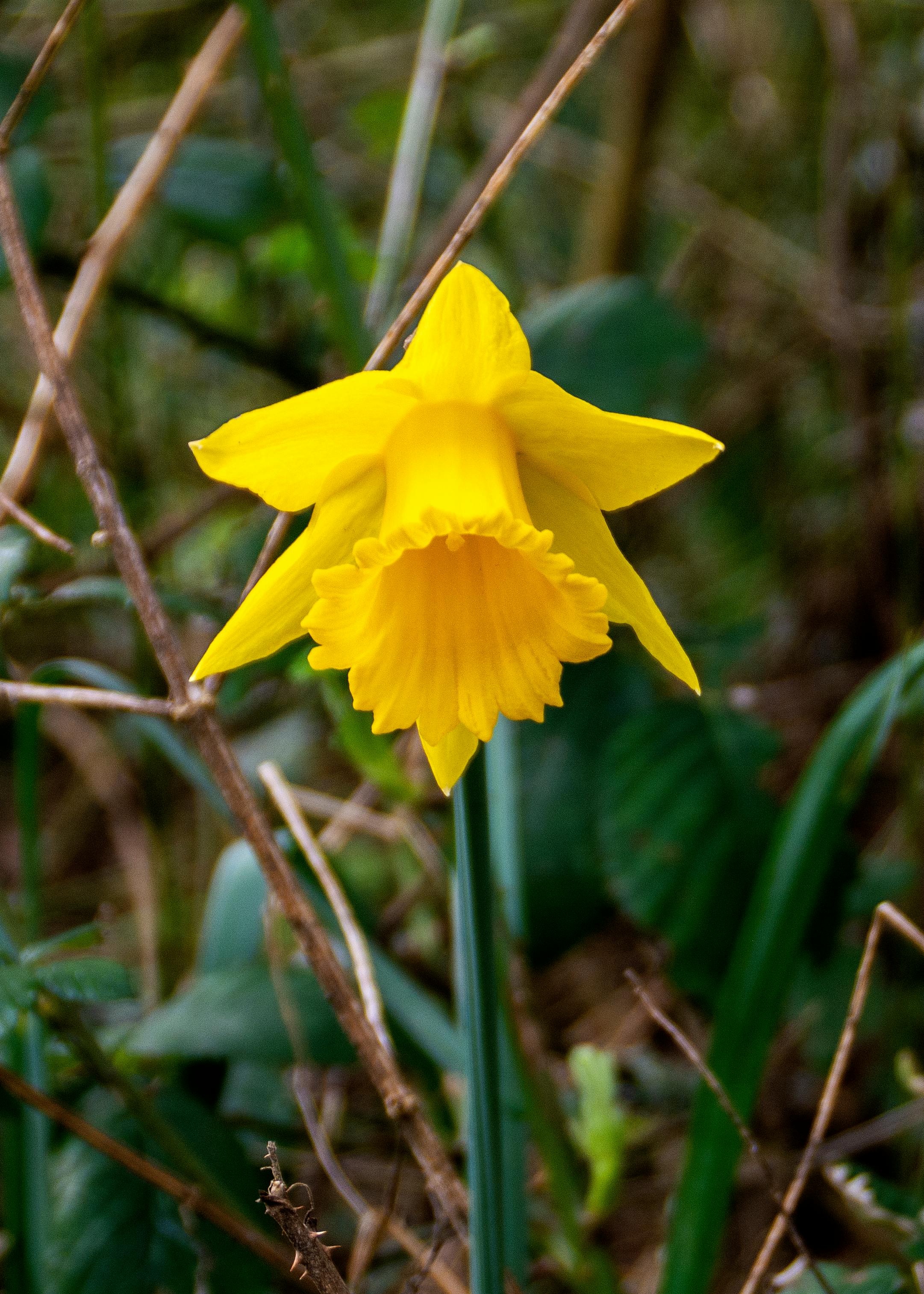 New Policy Shifts Signal Massive Opportunity for Home Energy Savings & Grid Resilience