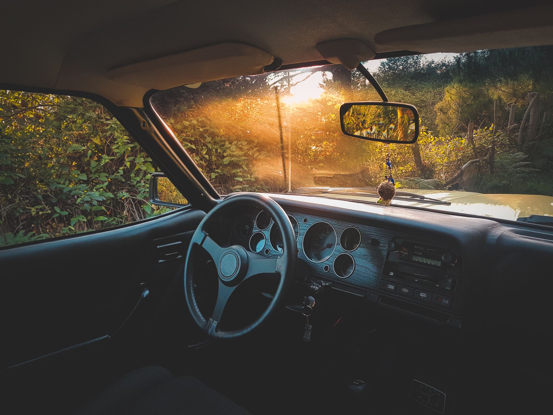 Interior view of a classic car with sunlight streaming through the windshield creating a warm ambiance.