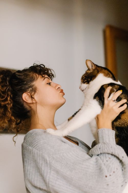 Free A woman lovingly holds her cat indoors, capturing a sweet, candid moment. Stock Photo