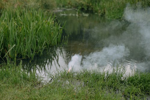 Безкоштовне стокове фото на тему «болото, вода, дим»